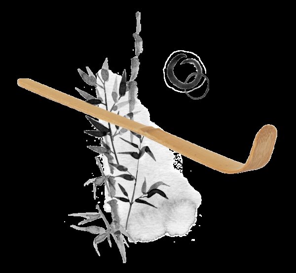 Matcha Mania Produkte Chashaku Bambusloeffel Detail